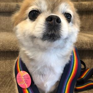 Suspenders 🌈 WELCH CO 🌈 vintage